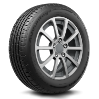 BFGoodrich Advantage Control