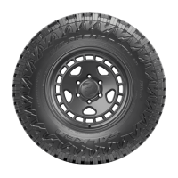 Falken Wildpeak RT Sidewall